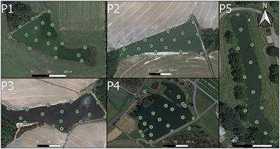 On composite sampling for monitoring generic and antibiotic-resistant coliforms in irrigation ponds